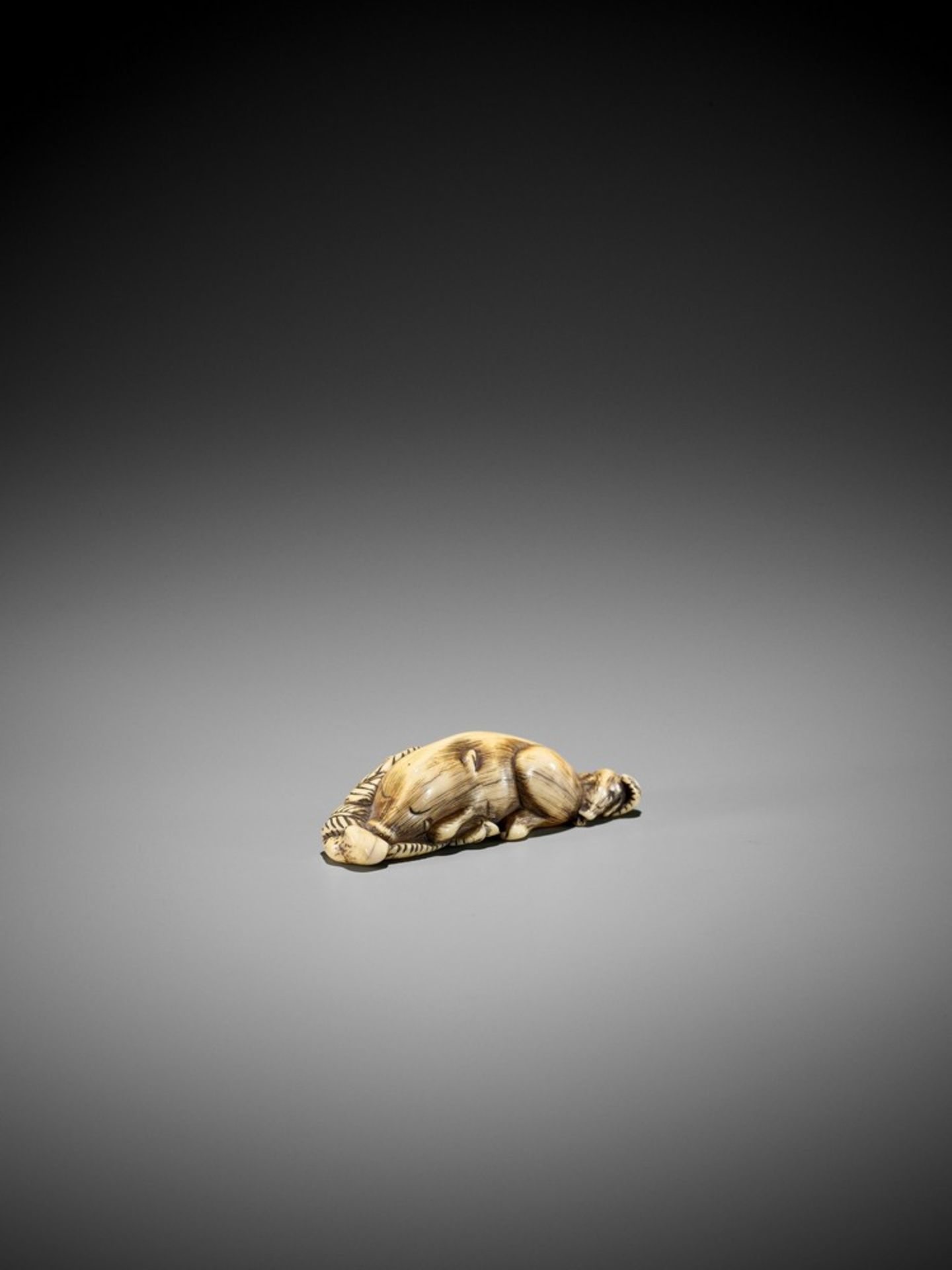 A FINE KYOTO SCHOOL IVORY NETSUKE OF TWO RESTING BOARS UnsignedJapan, Kyoto, 18th century, Edo - Bild 3 aus 8