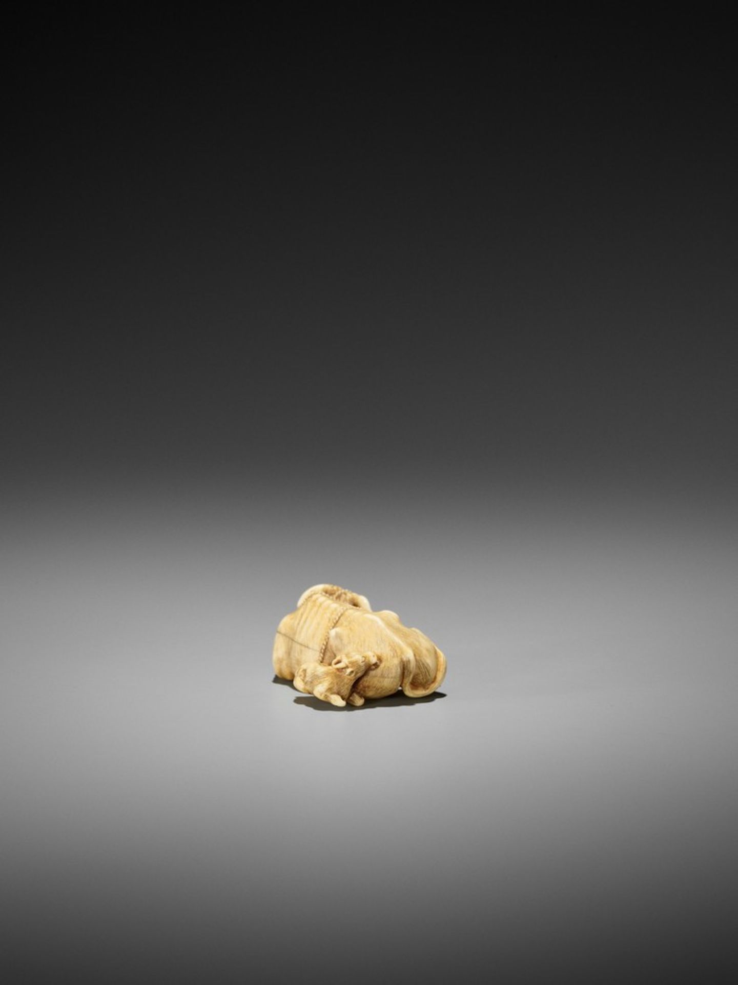 TOMOTADA: A RARE IVORY NETSUKE OF A RECUMBENT COW WITH TWO CALVES Signed Tomotada 友忠Japan, Kyoto, - Bild 9 aus 12