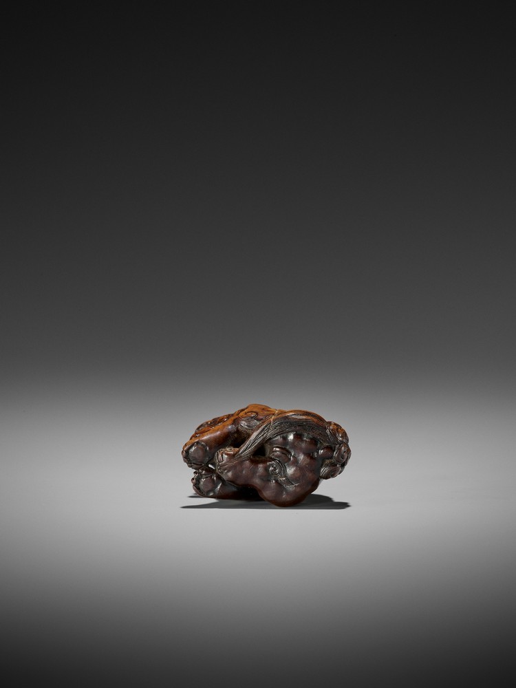 A WOOD NETSUKE OF A SHISHI ATTRIBUTED TO CHIKUYOSAI TOMOCHIKA I Attributed to Chikuyosai Tomochika - Image 9 of 11