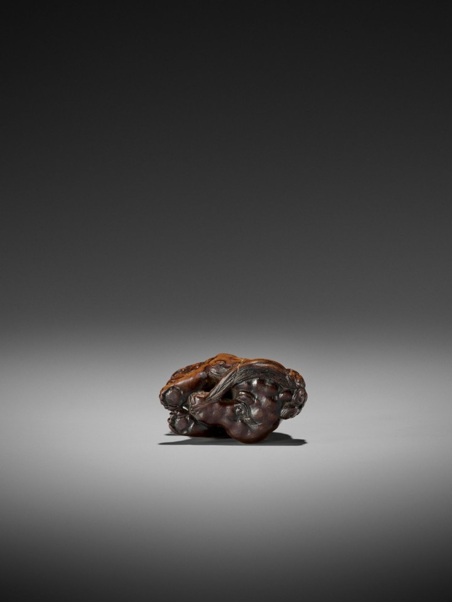 A WOOD NETSUKE OF A SHISHI ATTRIBUTED TO CHIKUYOSAI TOMOCHIKA I Attributed to Chikuyosai Tomochika - Bild 9 aus 11