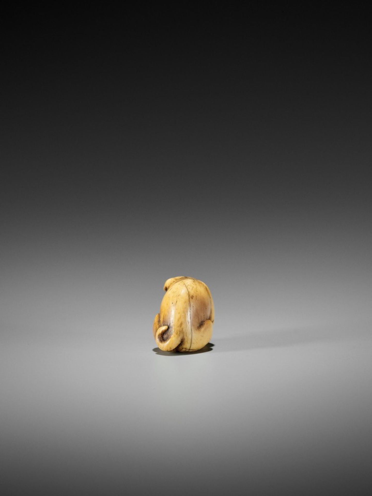 YAMAGUCHI OKATOMO: A FINE IVORY NETSUKE OF A PUPPY WITH WARAJI By Yamaguchi Okatomo, signed - Bild 6 aus 10