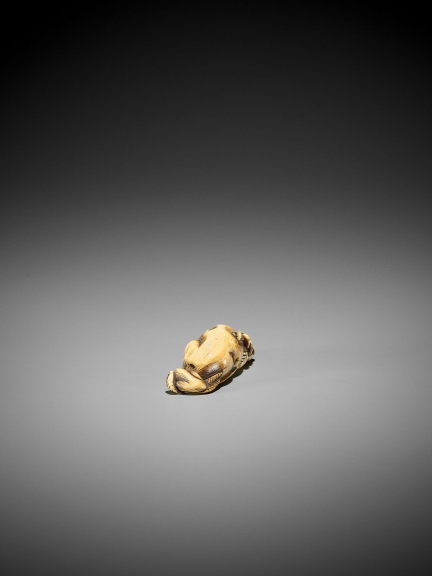 A FINE KYOTO SCHOOL IVORY NETSUKE OF TWO RESTING BOARS UnsignedJapan, Kyoto, 18th century, Edo - Bild 5 aus 8