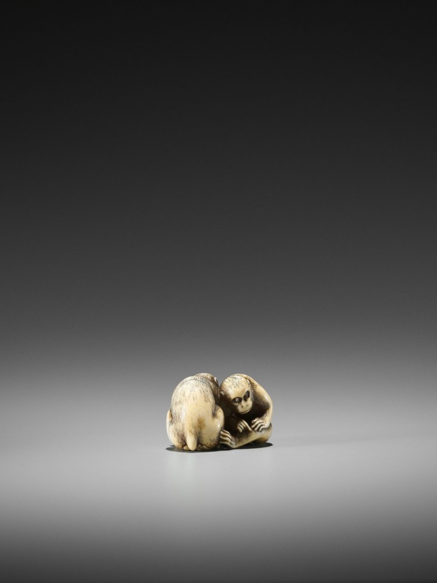 OKATORI: AN EXCELLENT IVORY NETSUKE OF TWO MONKEYS By Okatori, signed Okatori 岡隹Japan, Kyoto, late - Bild 9 aus 11