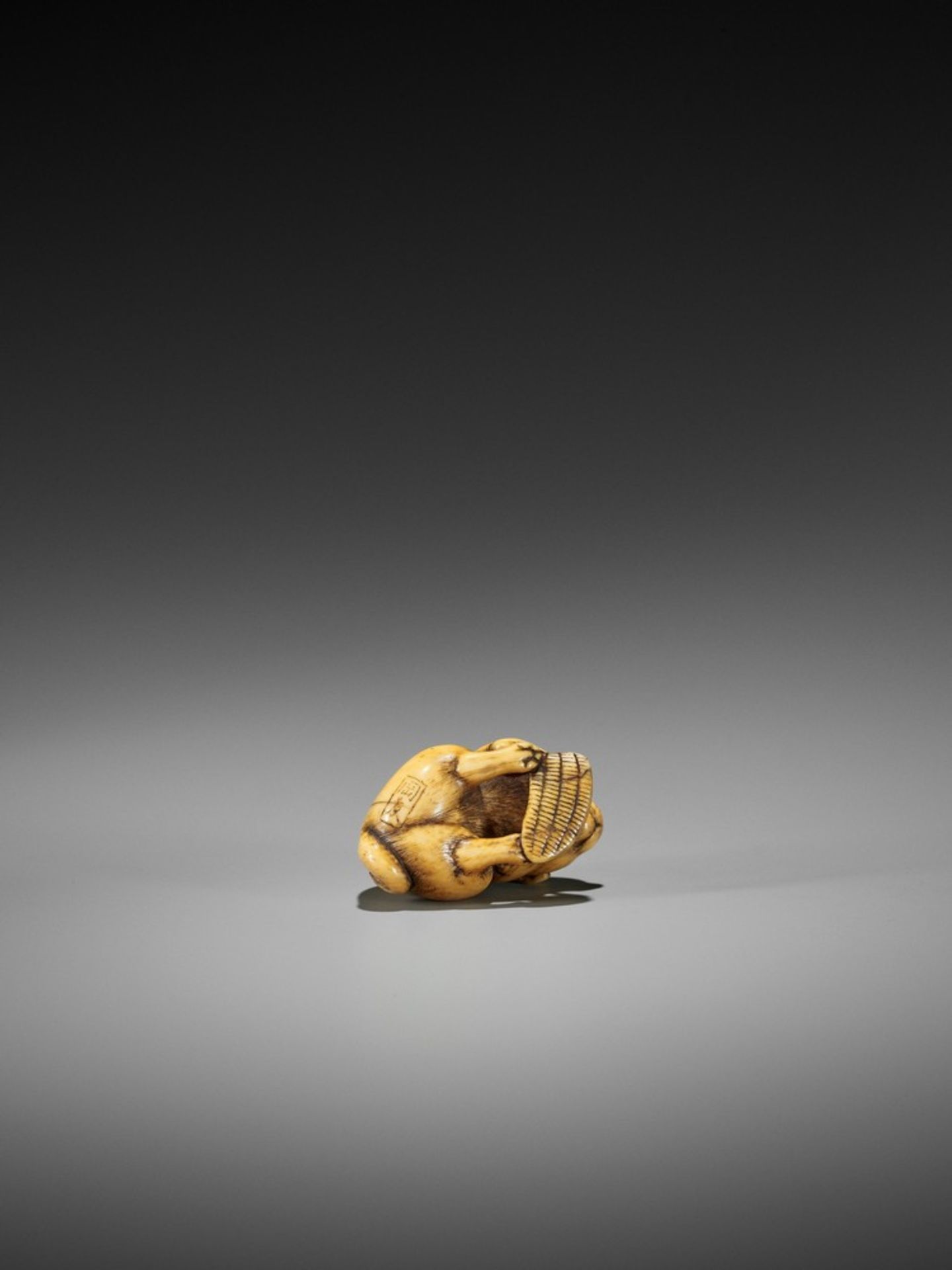 YAMAGUCHI OKATOMO: A FINE IVORY NETSUKE OF A PUPPY WITH WARAJI By Yamaguchi Okatomo, signed - Bild 8 aus 10