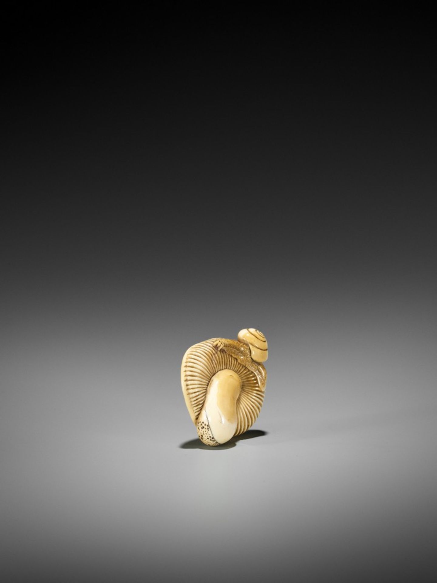 A FINE IVORY NETSUKE OF A SNAIL ON LARGE MUSHROOM UnsignedJapan, early 19th century, Edo period ( - Bild 6 aus 12