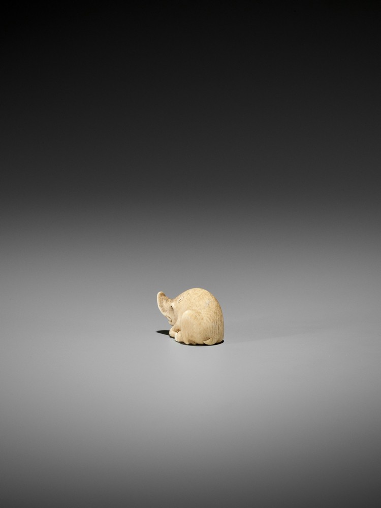 RANICHI: AN EXQUISITE IVORY NETSUKE OF A RECUMBENT BOAR By Ranichi, signed Ranichi 蘭一Japan, Kyoto, - Image 5 of 10