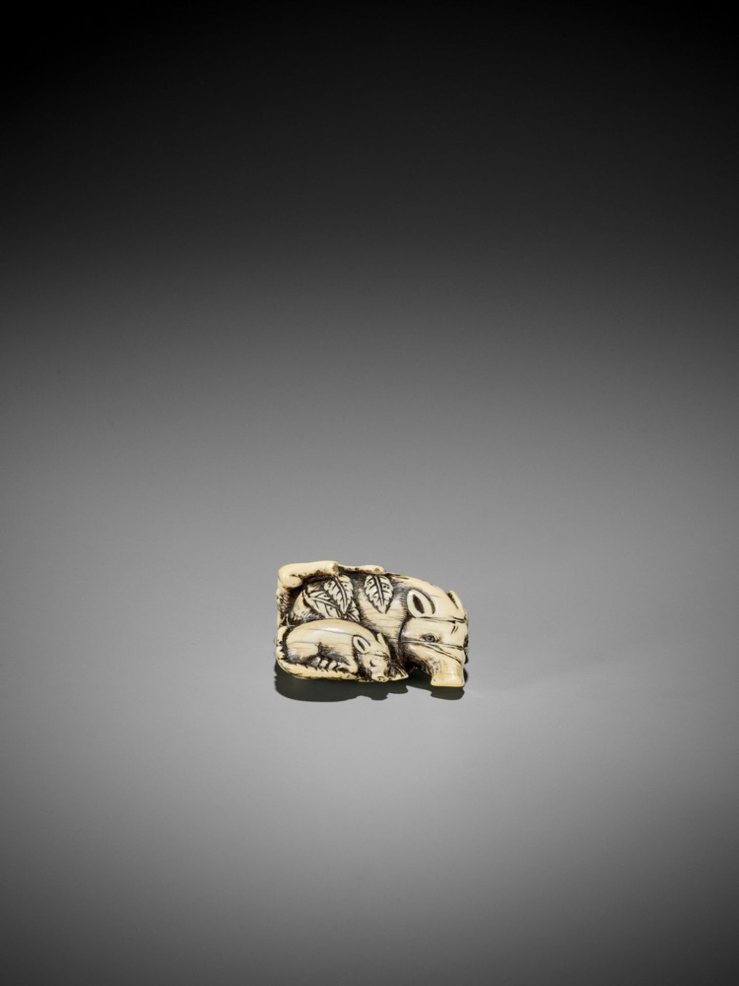 A GOOD KYOTO SCHOOL IVORY NETSUKE OF TWO RESTING BOARS UnsignedJapan, Kyoto, 18th century, Edo - Bild 4 aus 8