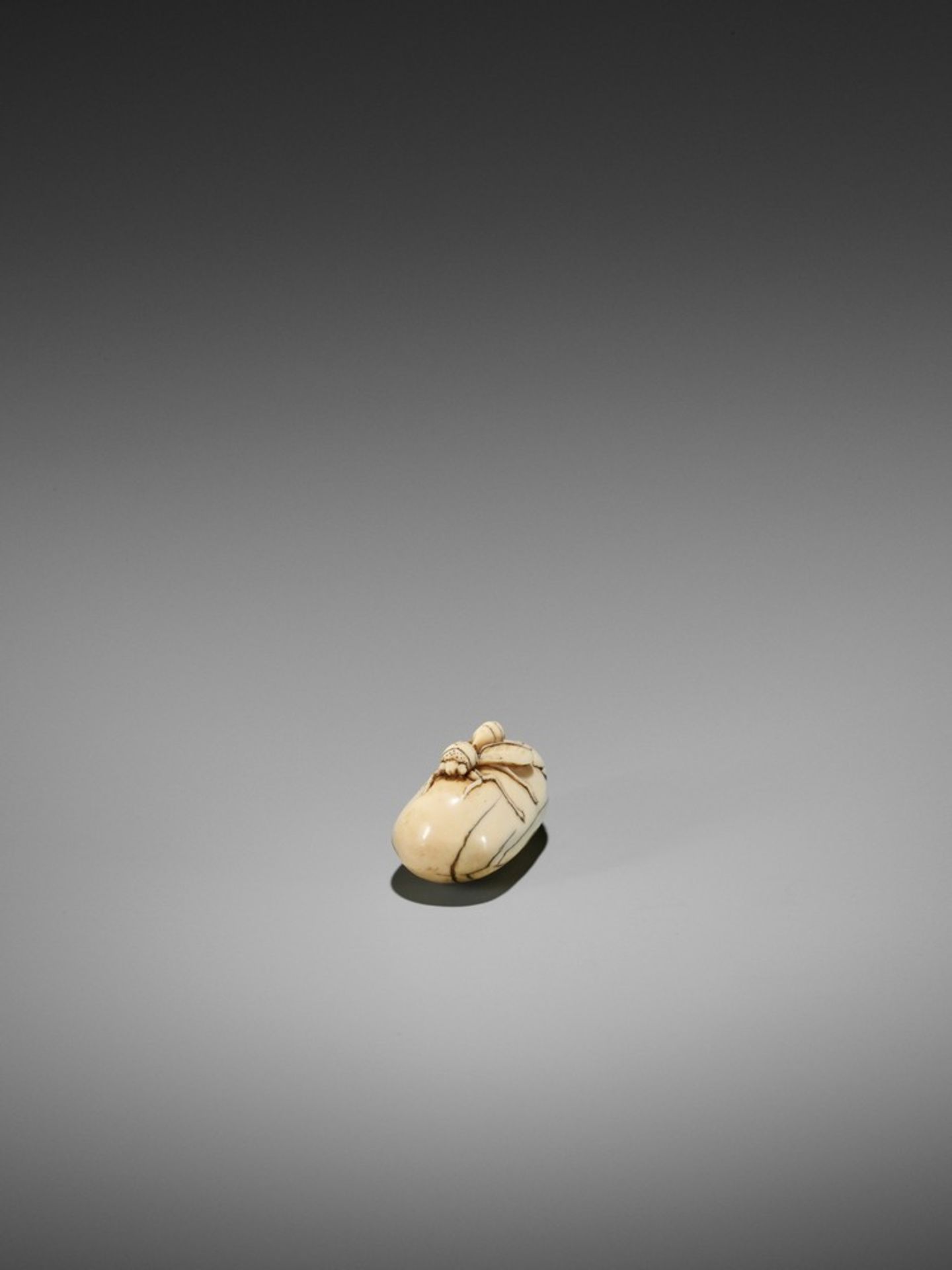 A RARE IVORY NETSUKE OF A WASP ON NASUBI UnsignedJapan, late 18th to early 19th century, Edo - Bild 5 aus 10