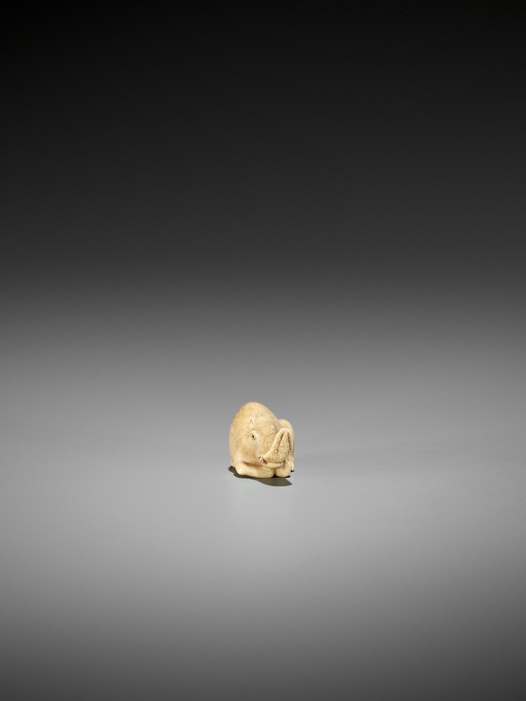 RANICHI: AN EXQUISITE IVORY NETSUKE OF A RECUMBENT BOAR By Ranichi, signed Ranichi 蘭一Japan, Kyoto, - Image 8 of 10