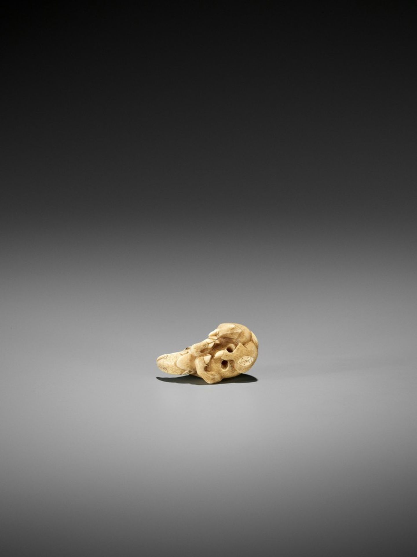 RANICHI: AN EXQUISITE IVORY NETSUKE OF A RECUMBENT BOAR By Ranichi, signed Ranichi 蘭一Japan, Kyoto, - Bild 2 aus 10