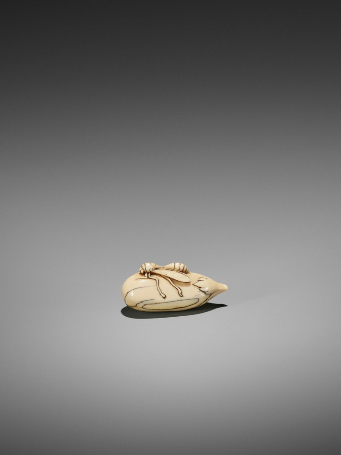 A RARE IVORY NETSUKE OF A WASP ON NASUBI UnsignedJapan, late 18th to early 19th century, Edo