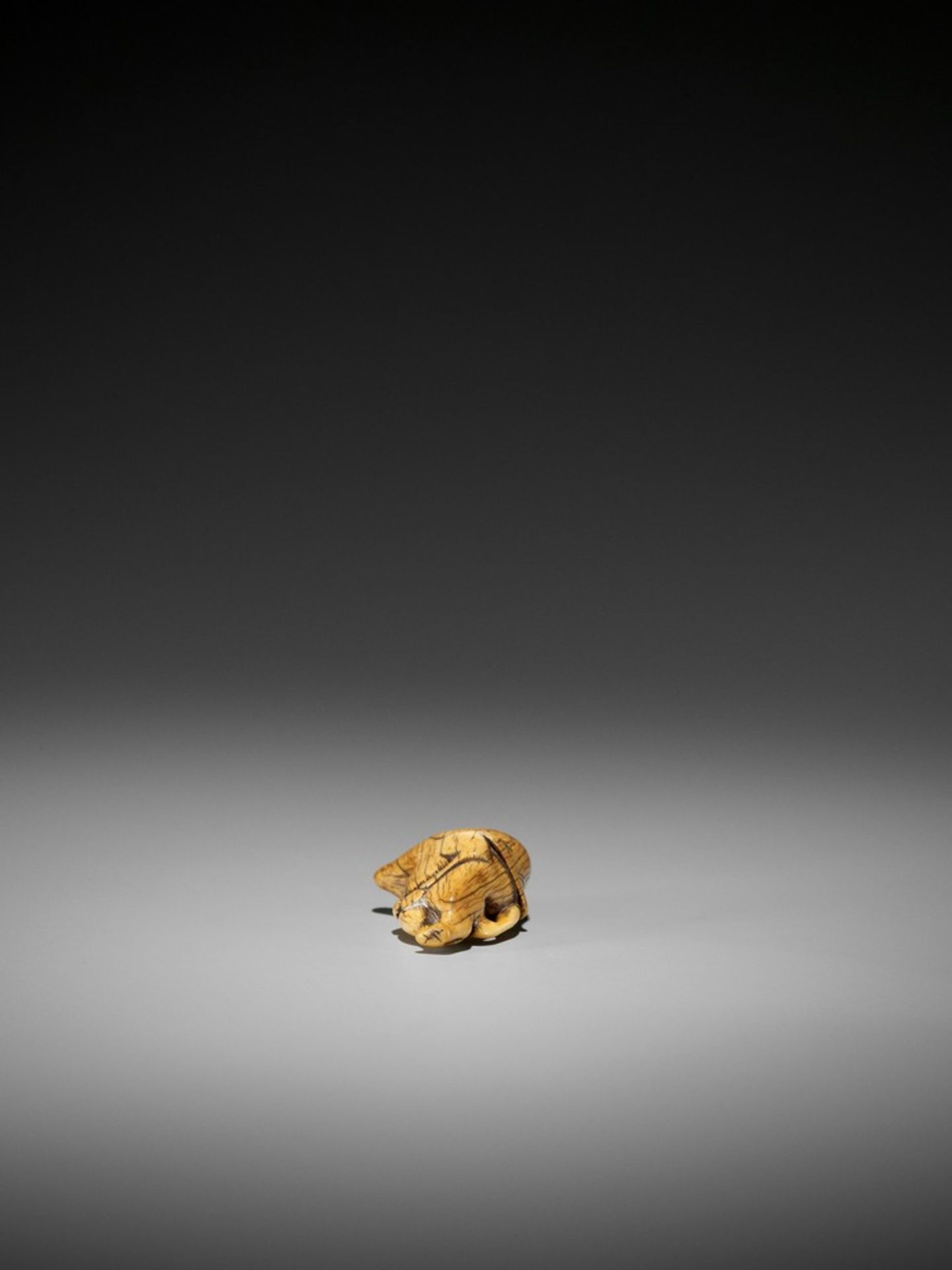 AN EARLY IVORY NETSUKE OF A TANUKI UnsignedJapan, 17th century, Edo period (1615-1868)A pleasingly - Bild 5 aus 7