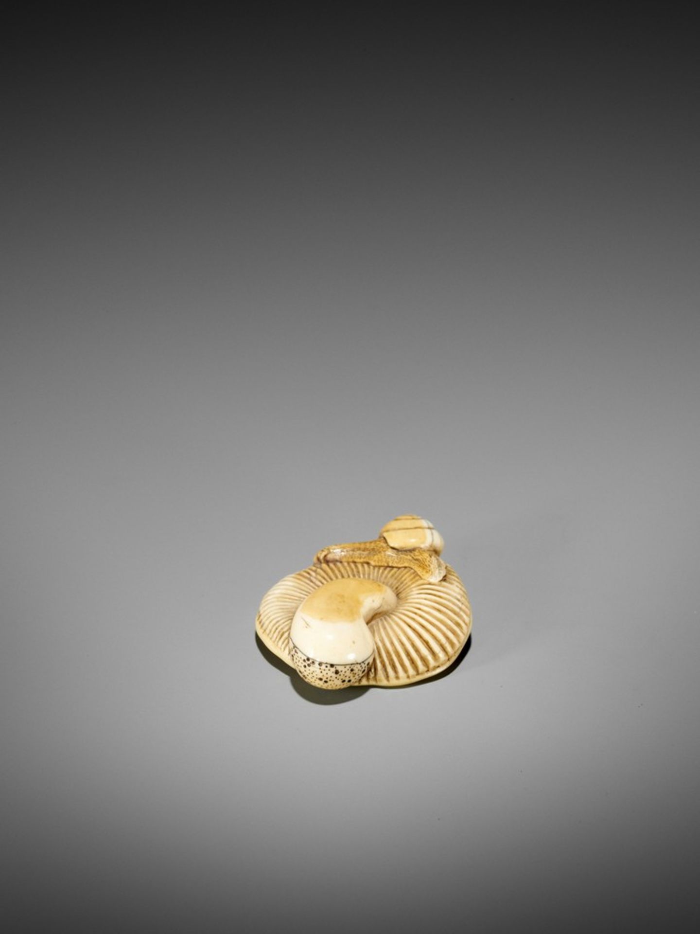 A FINE IVORY NETSUKE OF A SNAIL ON LARGE MUSHROOM UnsignedJapan, early 19th century, Edo period ( - Bild 10 aus 12