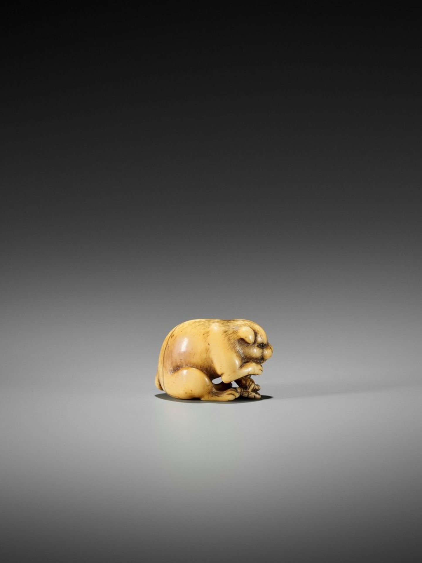 YAMAGUCHI OKATOMO: A FINE IVORY NETSUKE OF A PUPPY WITH WARAJI By Yamaguchi Okatomo, signed - Bild 7 aus 10