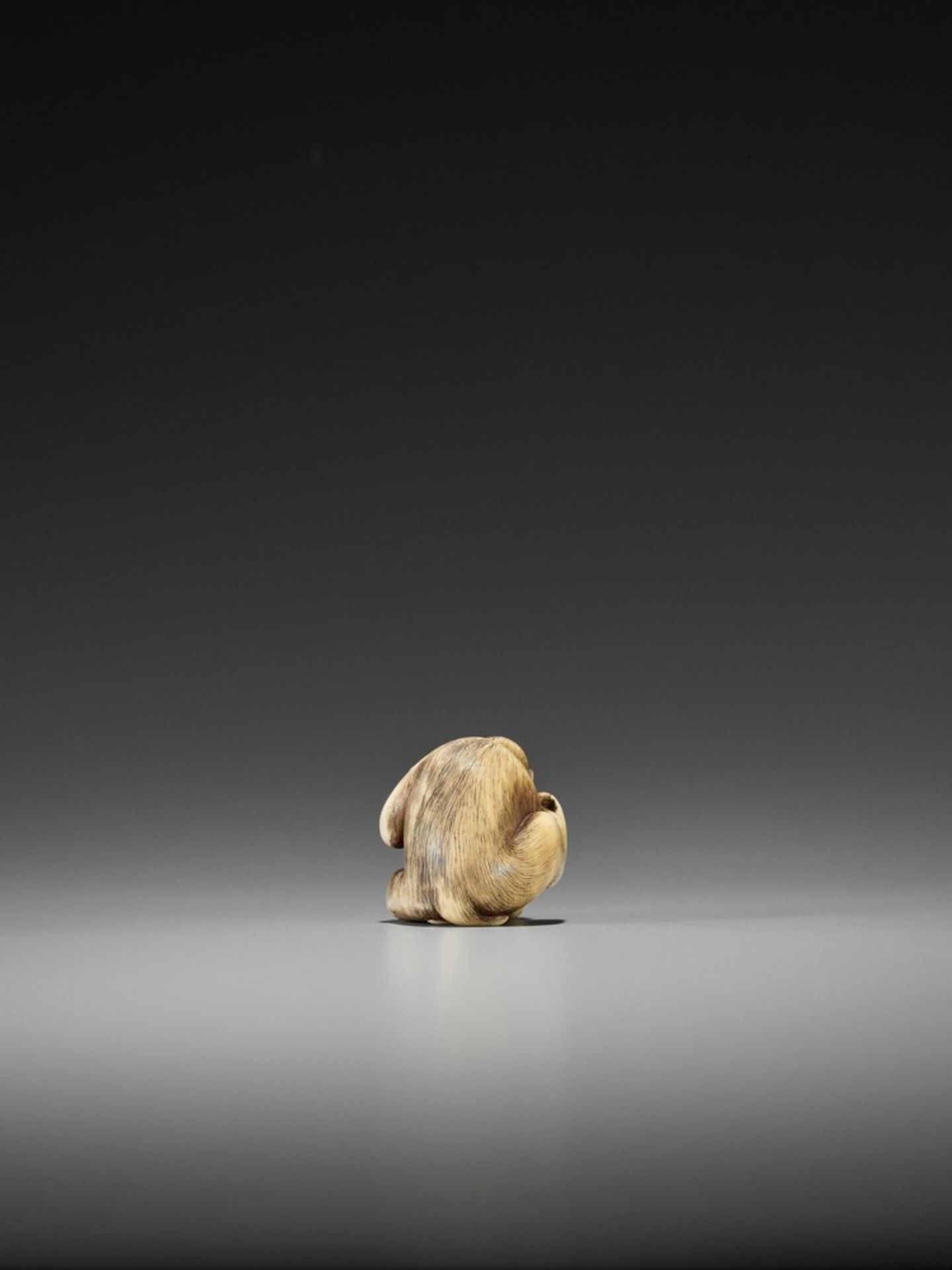 RANMEI: AN IVORY NETSUKE OF A MONKEY WITH PERSIMMON By Ranmei, signed Ranmei 蘭明Japan, Kyoto, 19th - Bild 5 aus 9