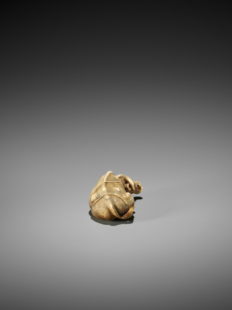 TOMOTADA: A FINE IVORY NETSUKE OF A RECUMBENT COW Signed Tomotada 友忠Japan, Kyoto, late 18th to early - Image 7 of 10