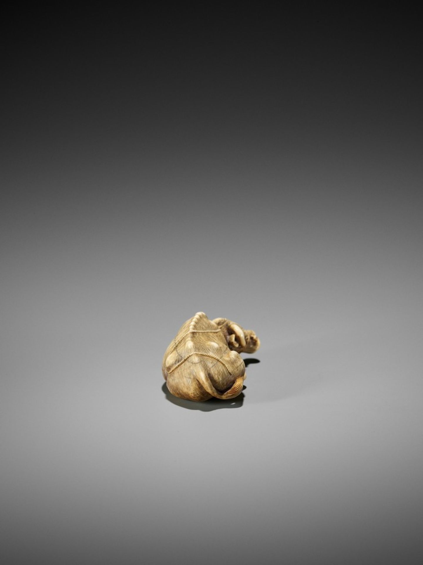 TOMOTADA: A FINE IVORY NETSUKE OF A RECUMBENT COW Signed Tomotada 友忠Japan, Kyoto, late 18th to early - Bild 7 aus 10