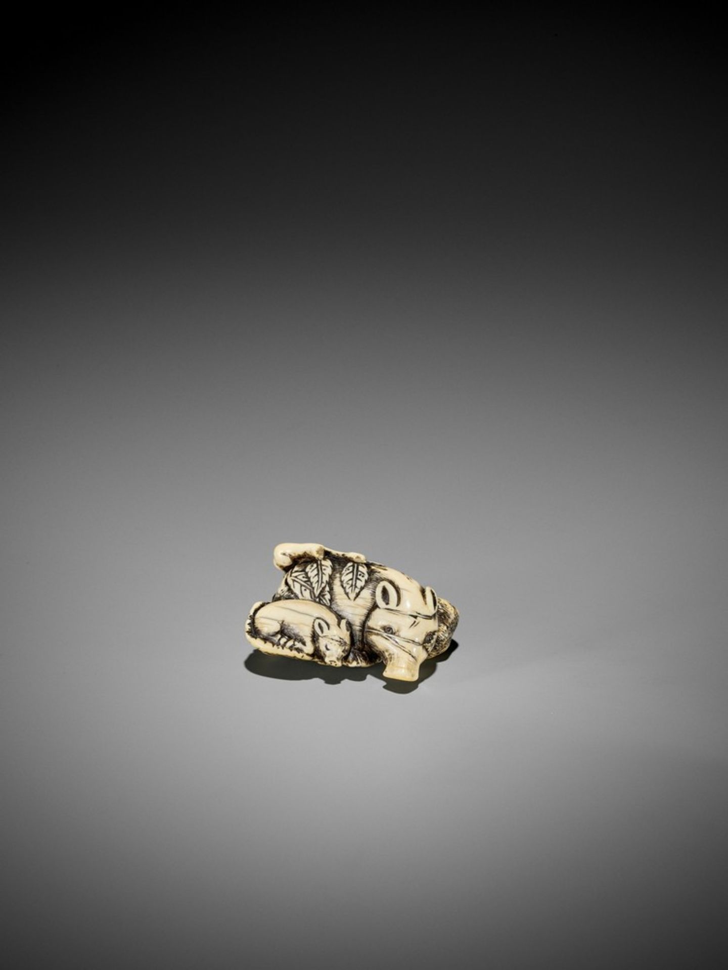 A GOOD KYOTO SCHOOL IVORY NETSUKE OF TWO RESTING BOARS UnsignedJapan, Kyoto, 18th century, Edo - Bild 5 aus 8