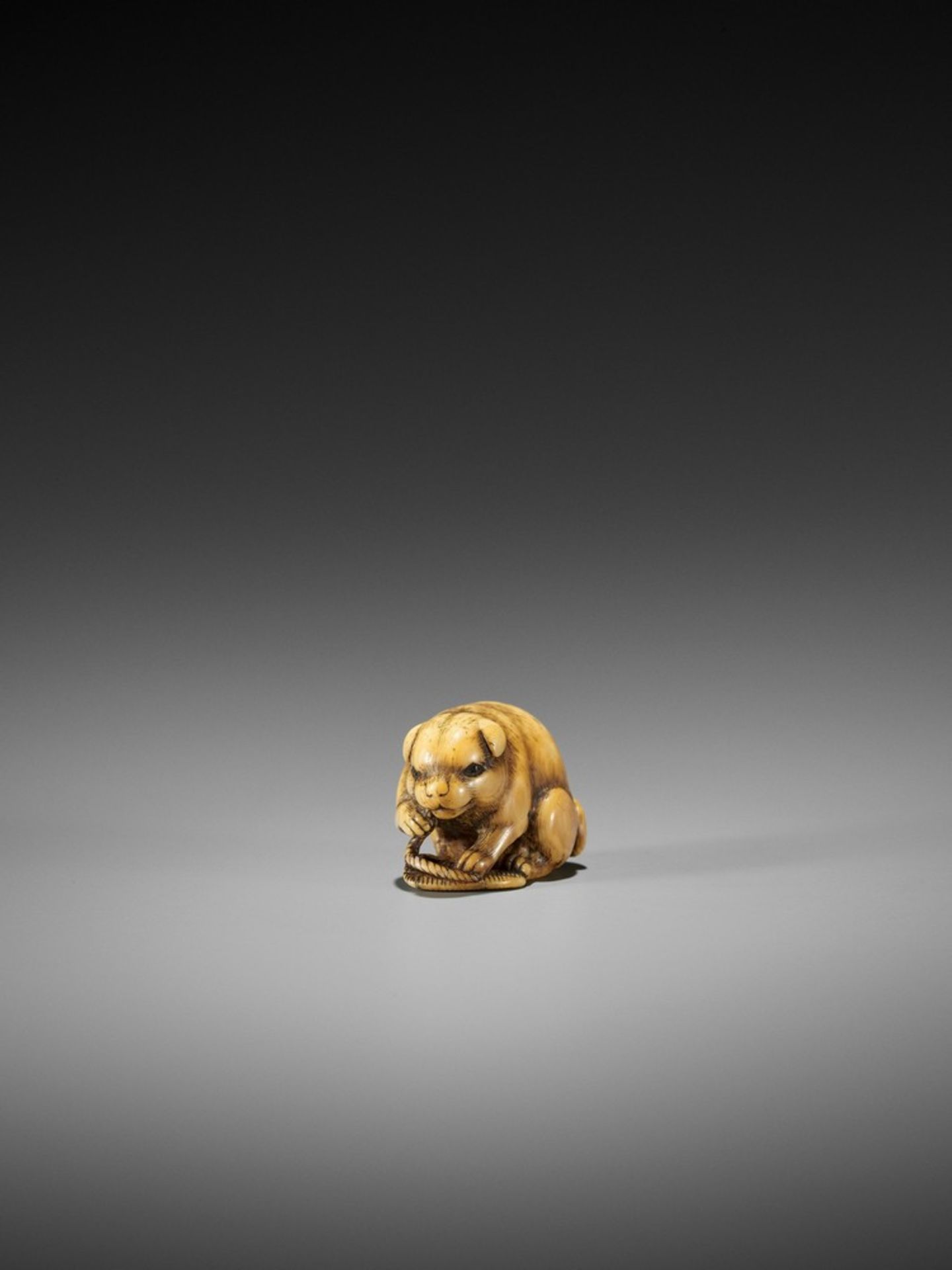 YAMAGUCHI OKATOMO: A FINE IVORY NETSUKE OF A PUPPY WITH WARAJI By Yamaguchi Okatomo, signed