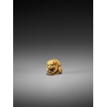 YAMAGUCHI OKATOMO: A FINE IVORY NETSUKE OF A PUPPY WITH WARAJI By Yamaguchi Okatomo, signed