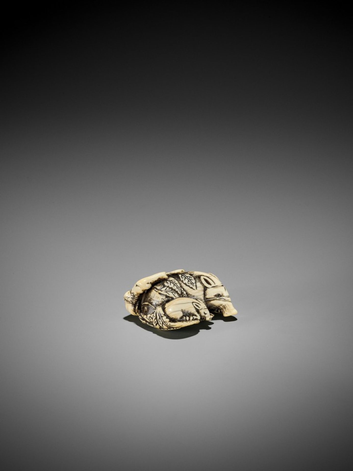 A GOOD KYOTO SCHOOL IVORY NETSUKE OF TWO RESTING BOARS UnsignedJapan, Kyoto, 18th century, Edo - Bild 8 aus 8