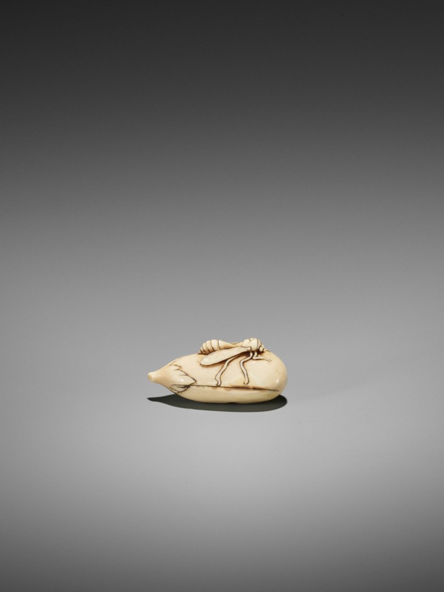 A RARE IVORY NETSUKE OF A WASP ON NASUBI UnsignedJapan, late 18th to early 19th century, Edo - Bild 3 aus 10