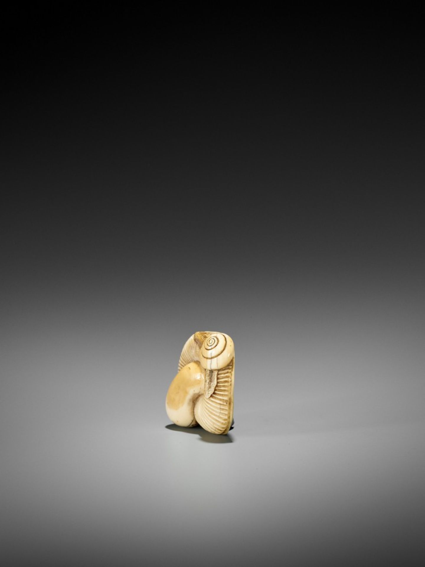 A FINE IVORY NETSUKE OF A SNAIL ON LARGE MUSHROOM UnsignedJapan, early 19th century, Edo period ( - Bild 4 aus 12