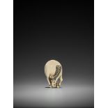 KANO TESSAI: A RARE IVORY NETSUKE OF AN 18th CENTURY GRAZING HORSE By Kano Tessai (1845-1925),