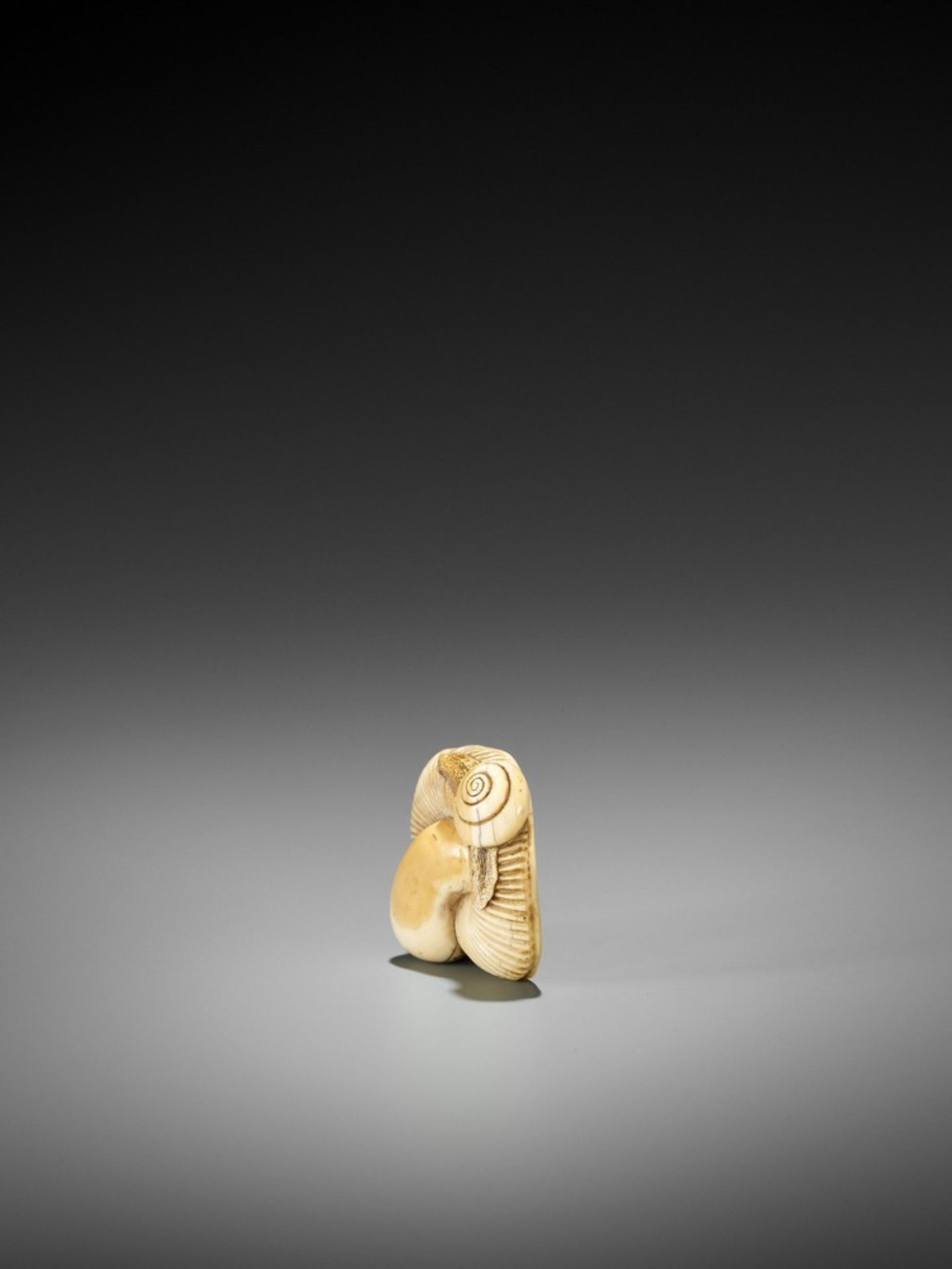 A FINE IVORY NETSUKE OF A SNAIL ON LARGE MUSHROOM UnsignedJapan, early 19th century, Edo period ( - Bild 5 aus 12