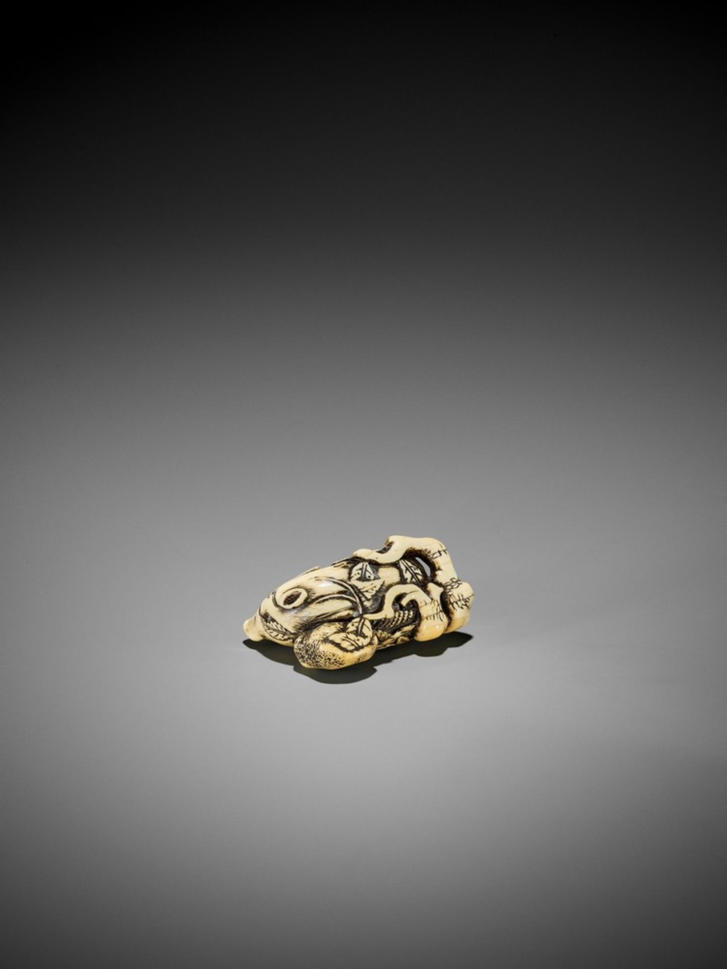 A GOOD KYOTO SCHOOL IVORY NETSUKE OF TWO RESTING BOARS UnsignedJapan, Kyoto, 18th century, Edo - Bild 6 aus 8