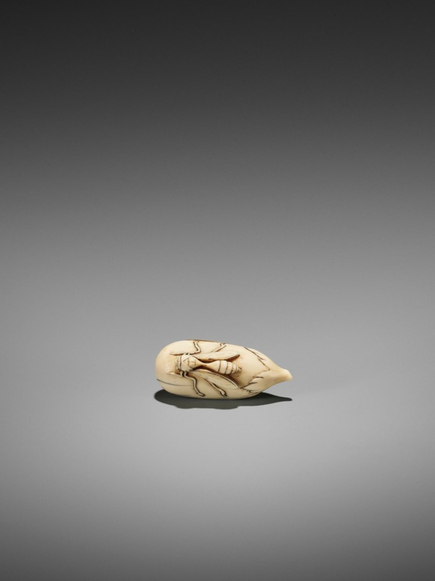 A RARE IVORY NETSUKE OF A WASP ON NASUBI UnsignedJapan, late 18th to early 19th century, Edo - Bild 10 aus 10