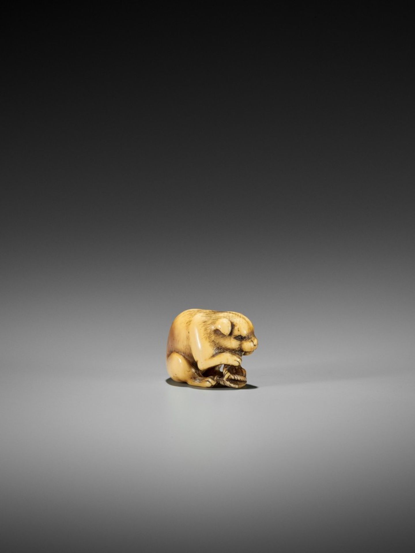 YAMAGUCHI OKATOMO: A FINE IVORY NETSUKE OF A PUPPY WITH WARAJI By Yamaguchi Okatomo, signed - Bild 3 aus 10