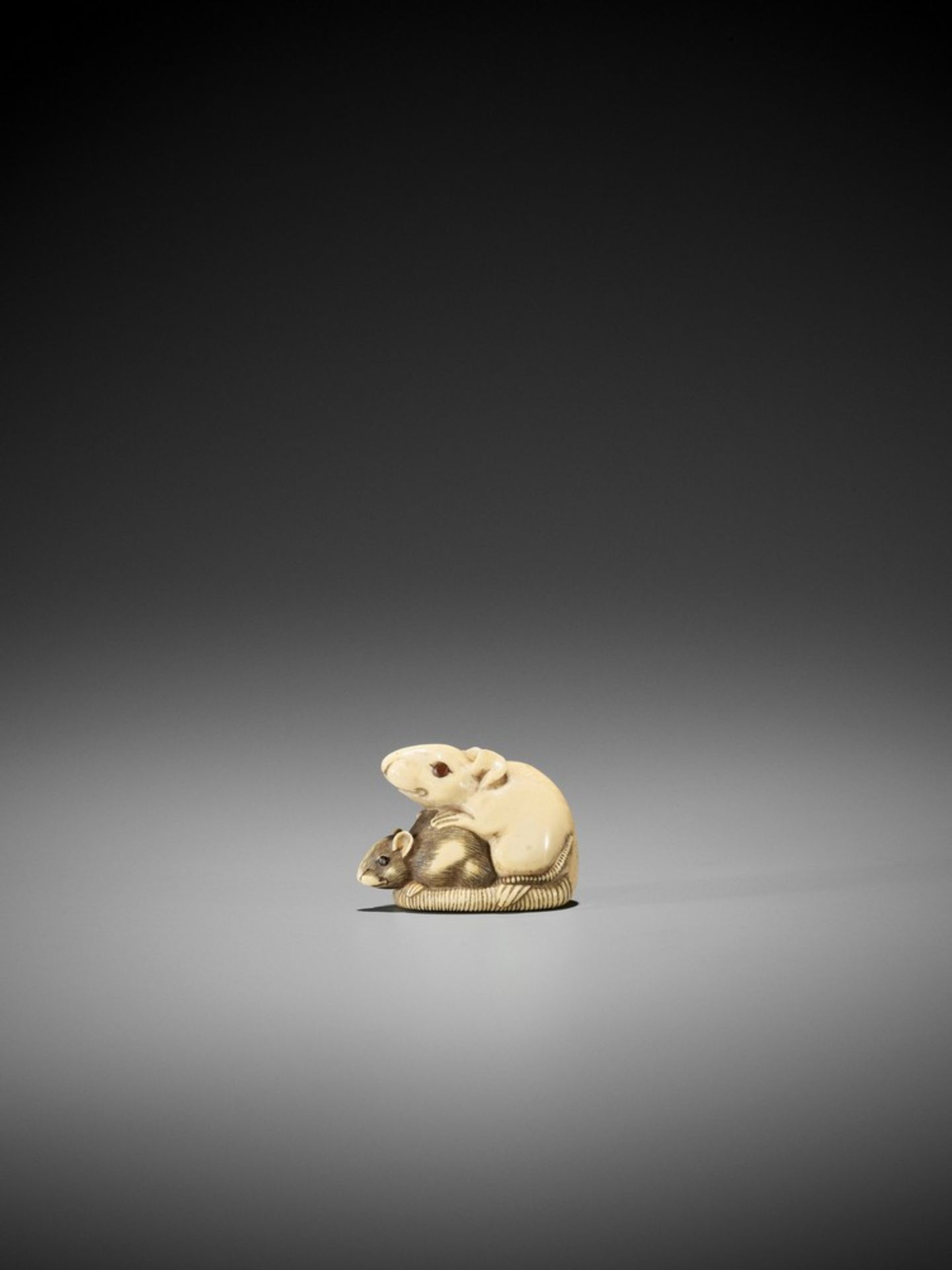 AN IVORY KYOTO SCHOOL NETSUKE OF TWO RATS UnsignedJapan, Kyoto, early 19th century, Edo period ( - Bild 5 aus 9