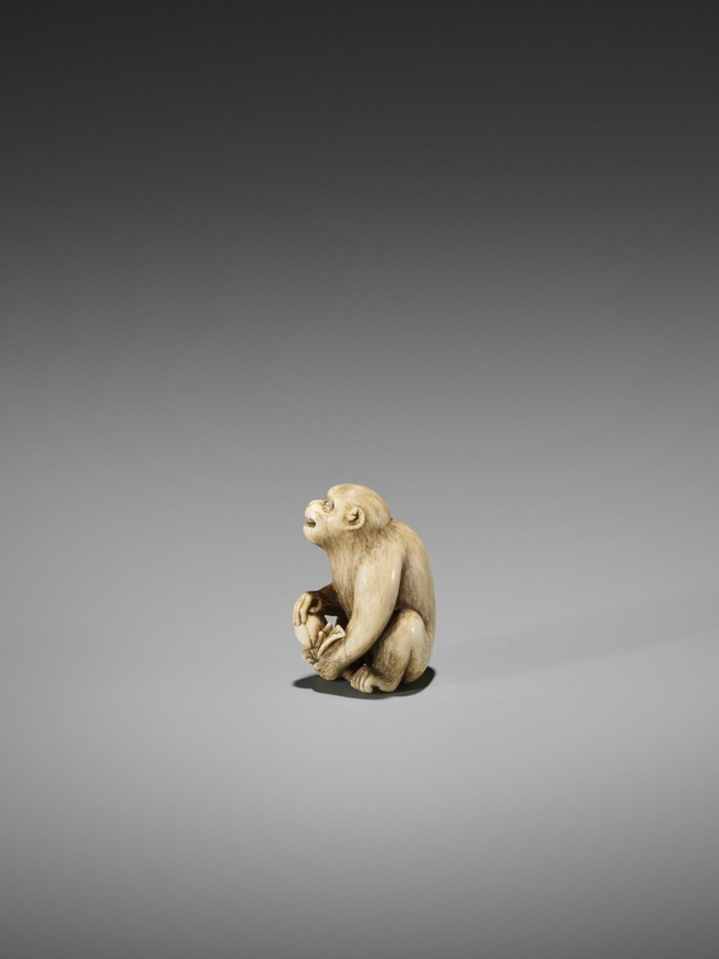 OKATORI: A FINE IVORY NETSUKE OF A MONKEY WITH A PEACH By Okatori, signed Okatori 岡隹Japan, Kyoto, - Bild 5 aus 10