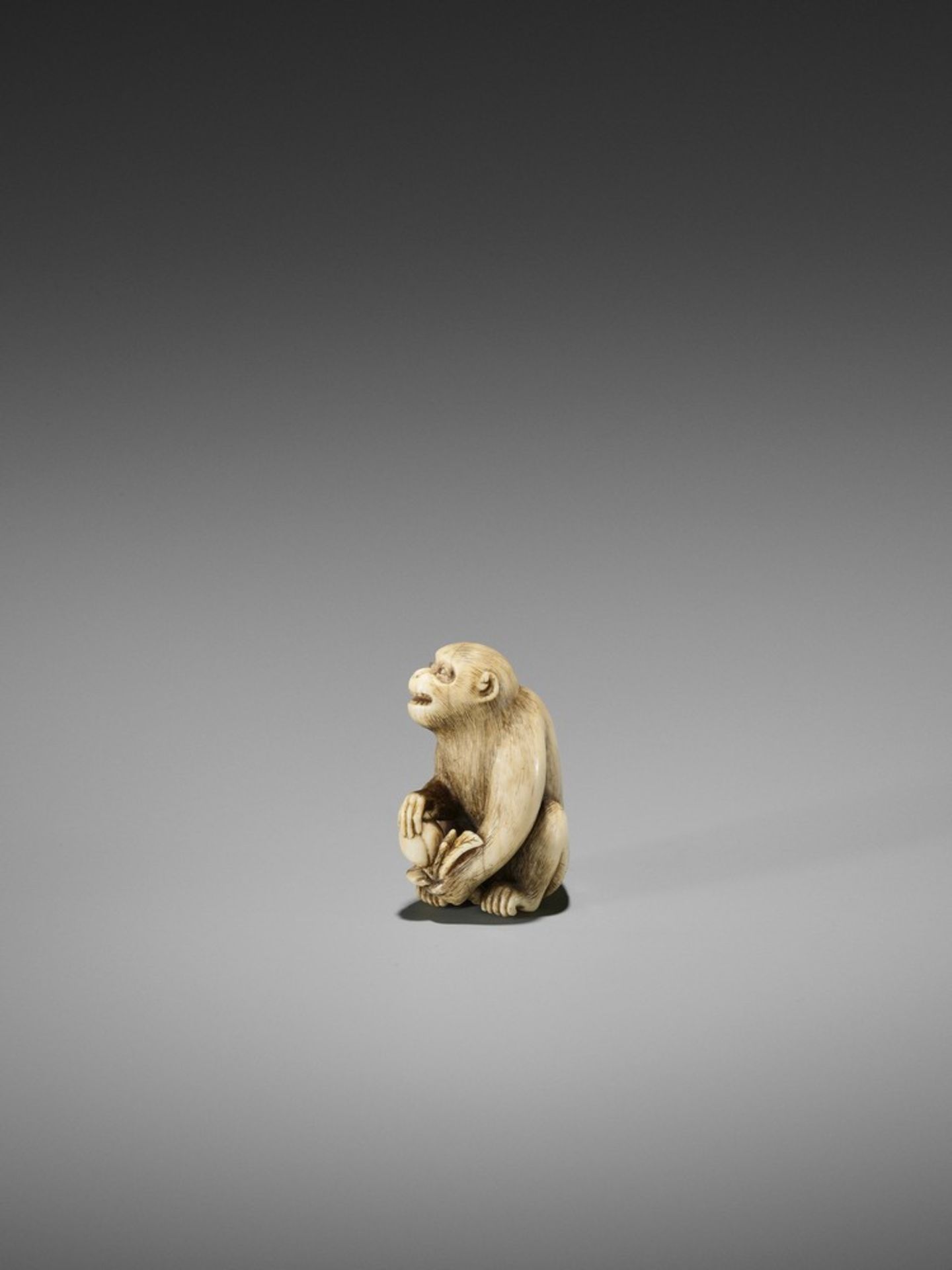 OKATORI: A FINE IVORY NETSUKE OF A MONKEY WITH A PEACH By Okatori, signed Okatori 岡隹Japan, Kyoto, - Bild 4 aus 10