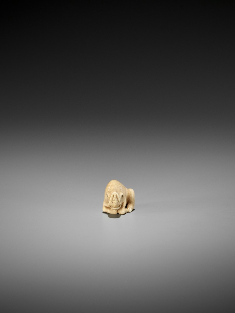 RANICHI: AN EXQUISITE IVORY NETSUKE OF A RECUMBENT BOAR By Ranichi, signed Ranichi 蘭一Japan, Kyoto, - Image 9 of 10