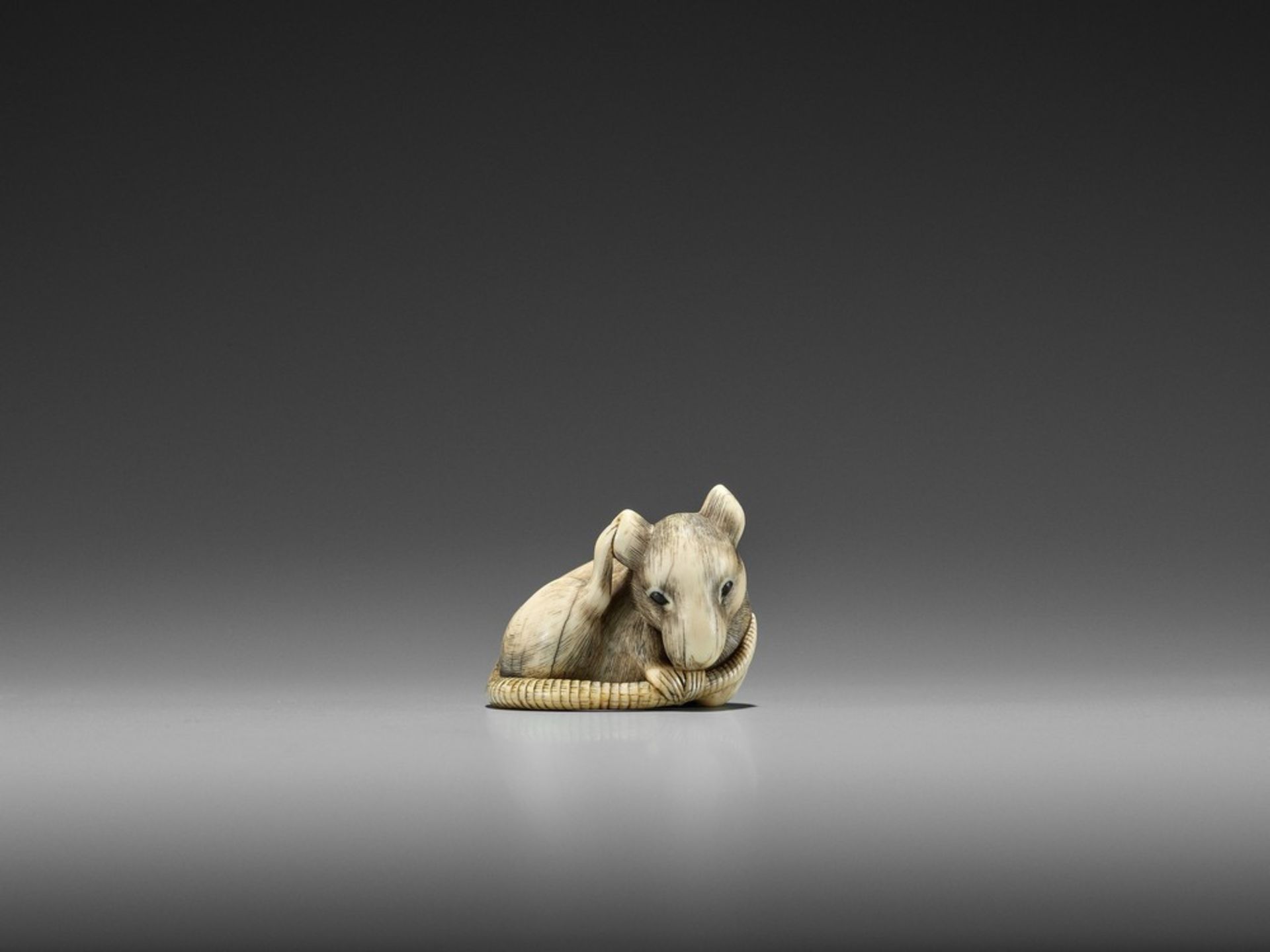 AN EXCEPTIONAL KYOTO SCHOOL IVORY NETSUKE OF A RAT UnsignedJapan, Kyoto, late 18th century, Edo - Bild 5 aus 11