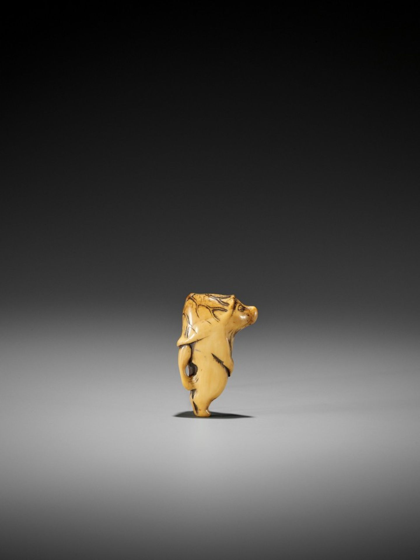 AN EARLY IVORY NETSUKE OF A TANUKI UnsignedJapan, 17th century, Edo period (1615-1868)A pleasingly - Bild 2 aus 7