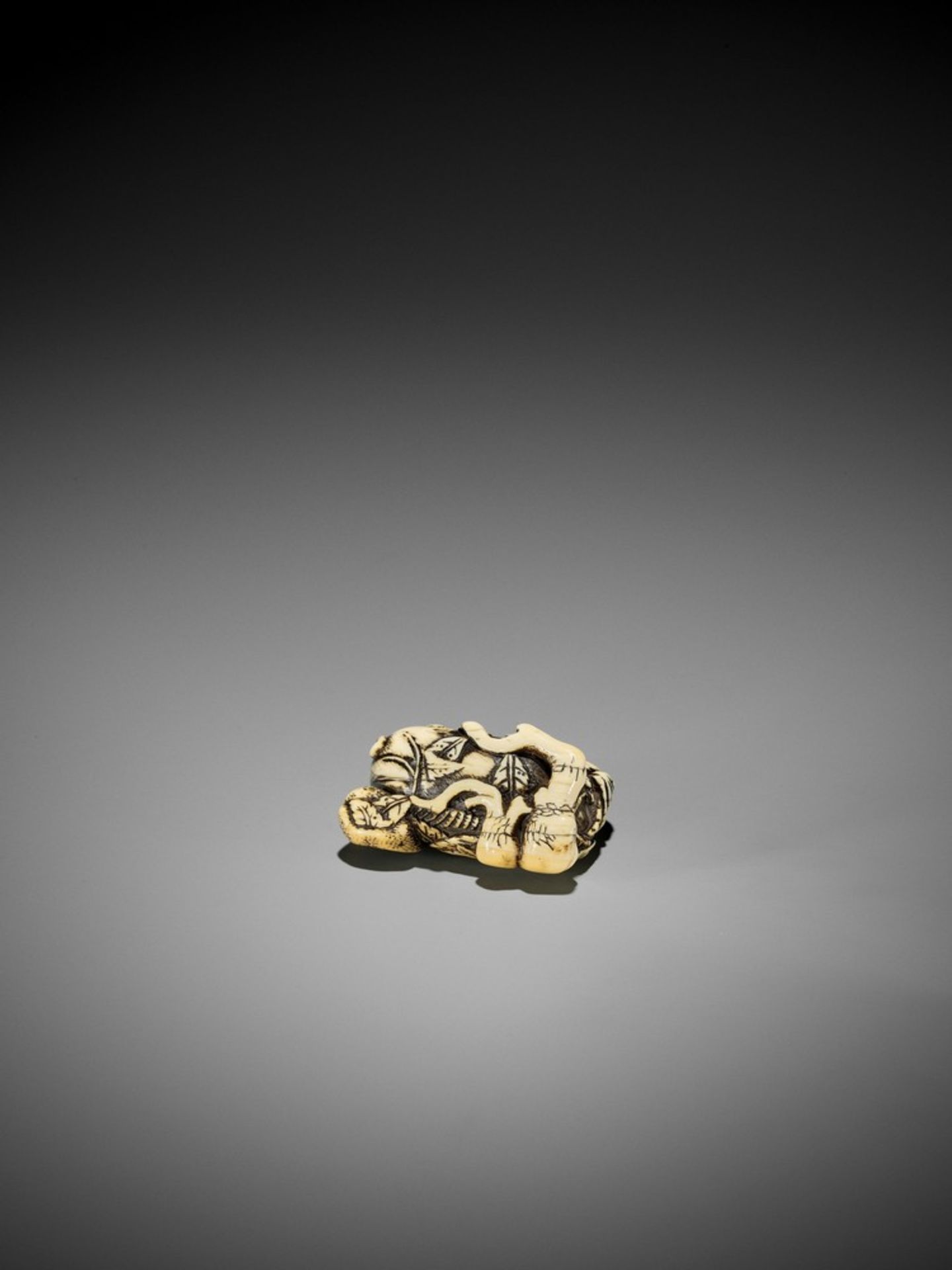 A GOOD KYOTO SCHOOL IVORY NETSUKE OF TWO RESTING BOARS UnsignedJapan, Kyoto, 18th century, Edo - Bild 7 aus 8