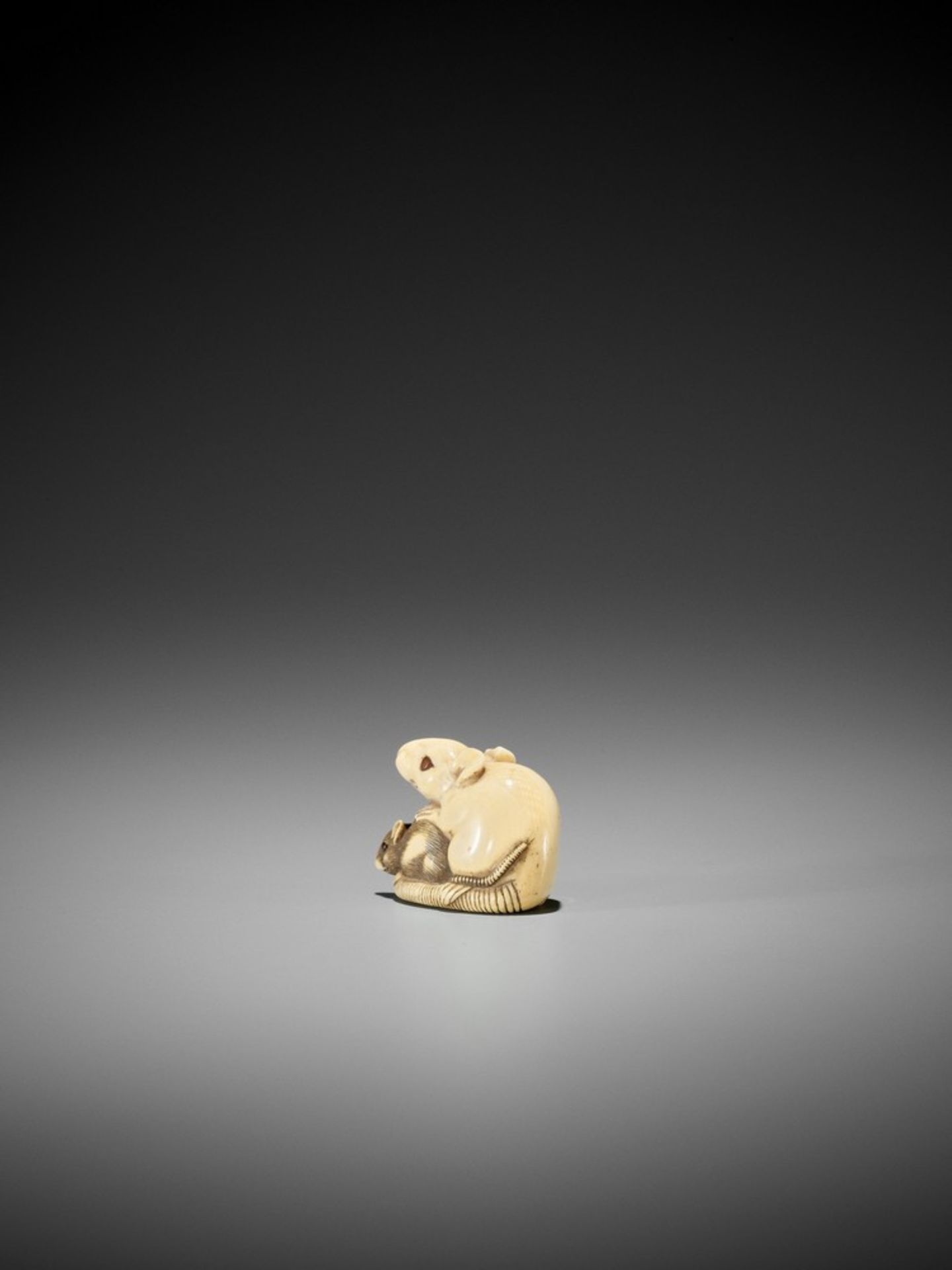 AN IVORY KYOTO SCHOOL NETSUKE OF TWO RATS UnsignedJapan, Kyoto, early 19th century, Edo period ( - Bild 6 aus 9