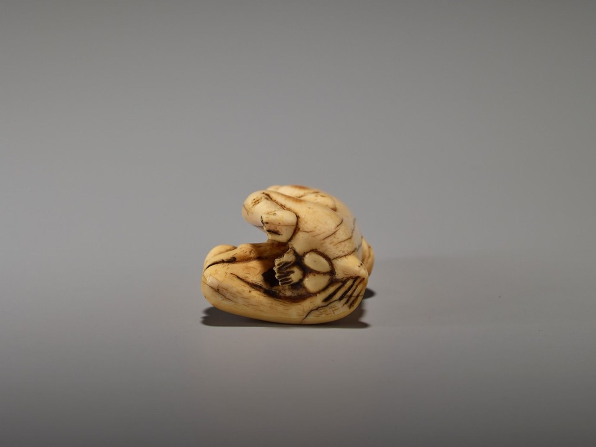 A RARE AND EARLY IVORY NETSUKE OF A MONKEY WITH YOUNG UnsignedJapan, 18th century, Edo period ( - Bild 9 aus 9