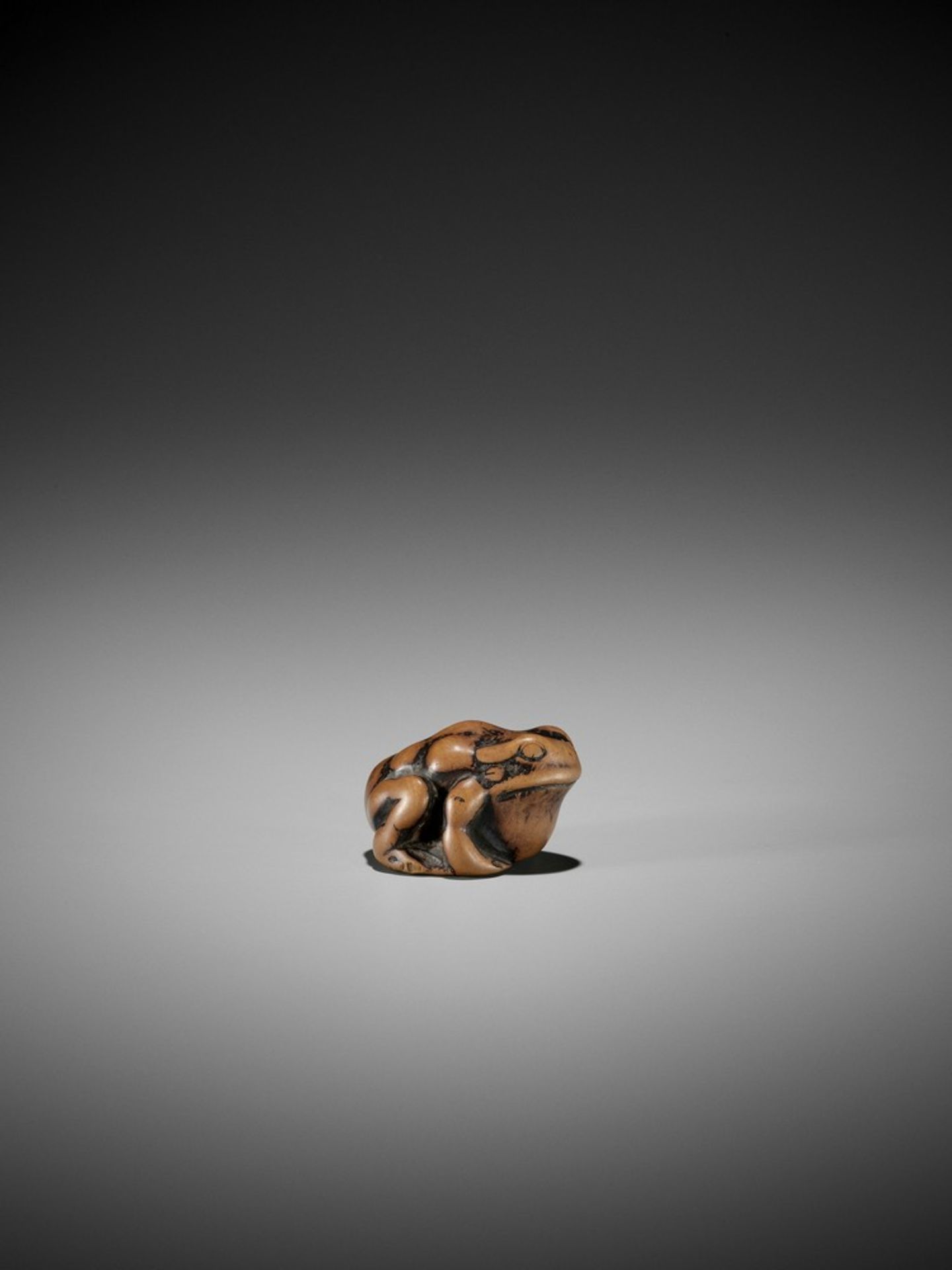 AN EARLY WOOD NETSUKE OF A TOAD UnsignedJapan, 18th century, Edo period (1615-1868)Published: - Bild 5 aus 8