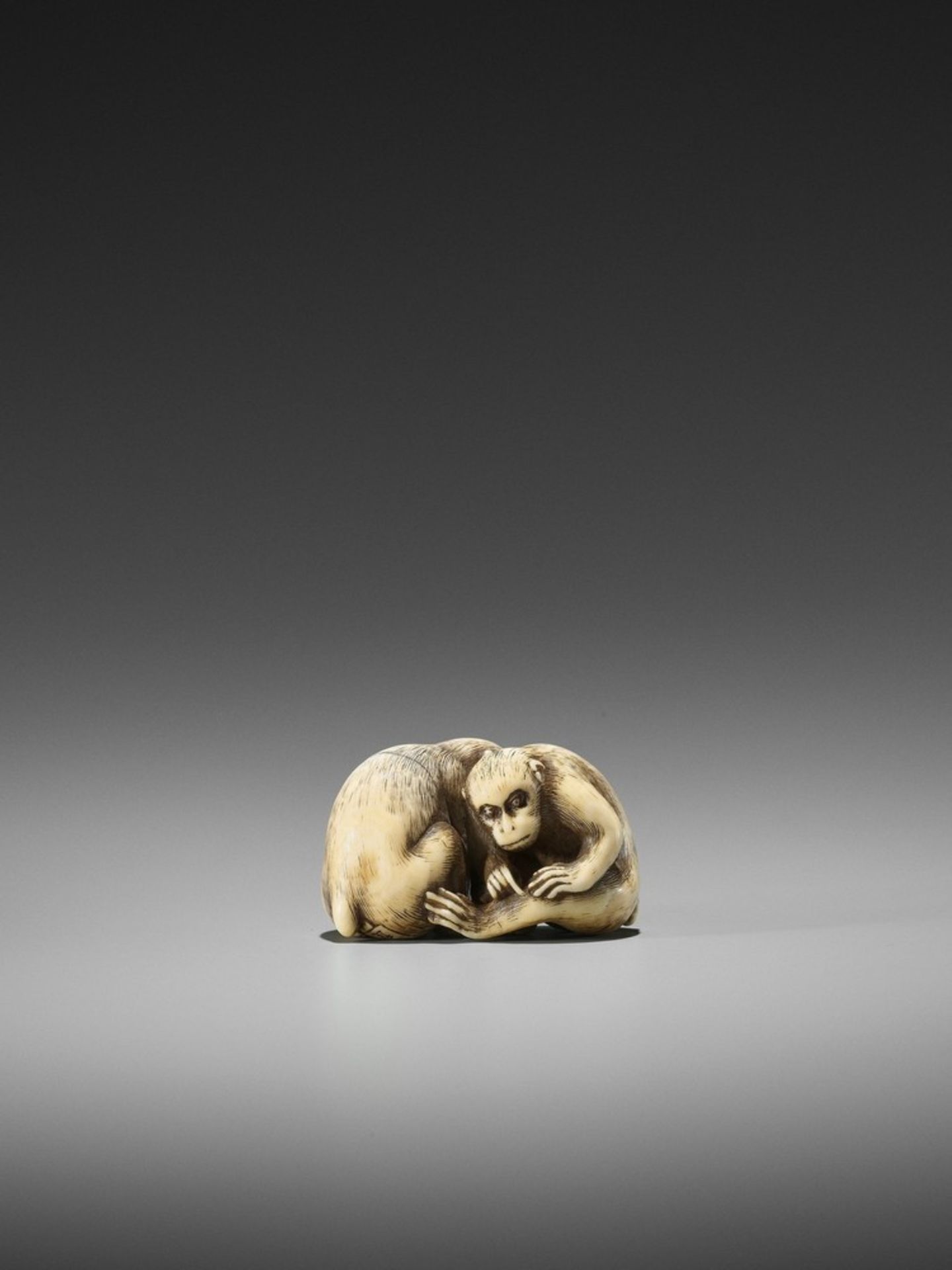 OKATORI: AN EXCELLENT IVORY NETSUKE OF TWO MONKEYS By Okatori, signed Okatori 岡隹Japan, Kyoto, late