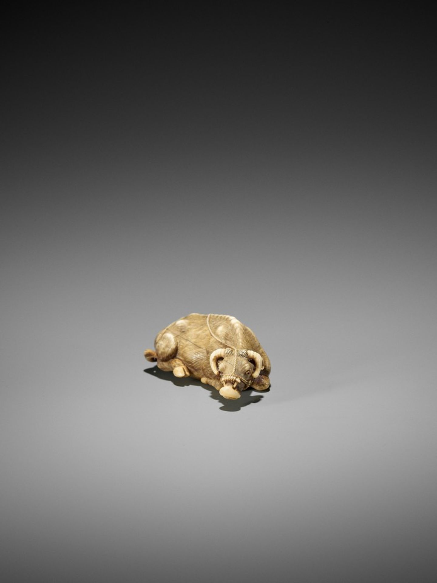 TOMOTADA: A FINE IVORY NETSUKE OF A RECUMBENT COW Signed Tomotada 友忠Japan, Kyoto, late 18th to early - Bild 4 aus 10