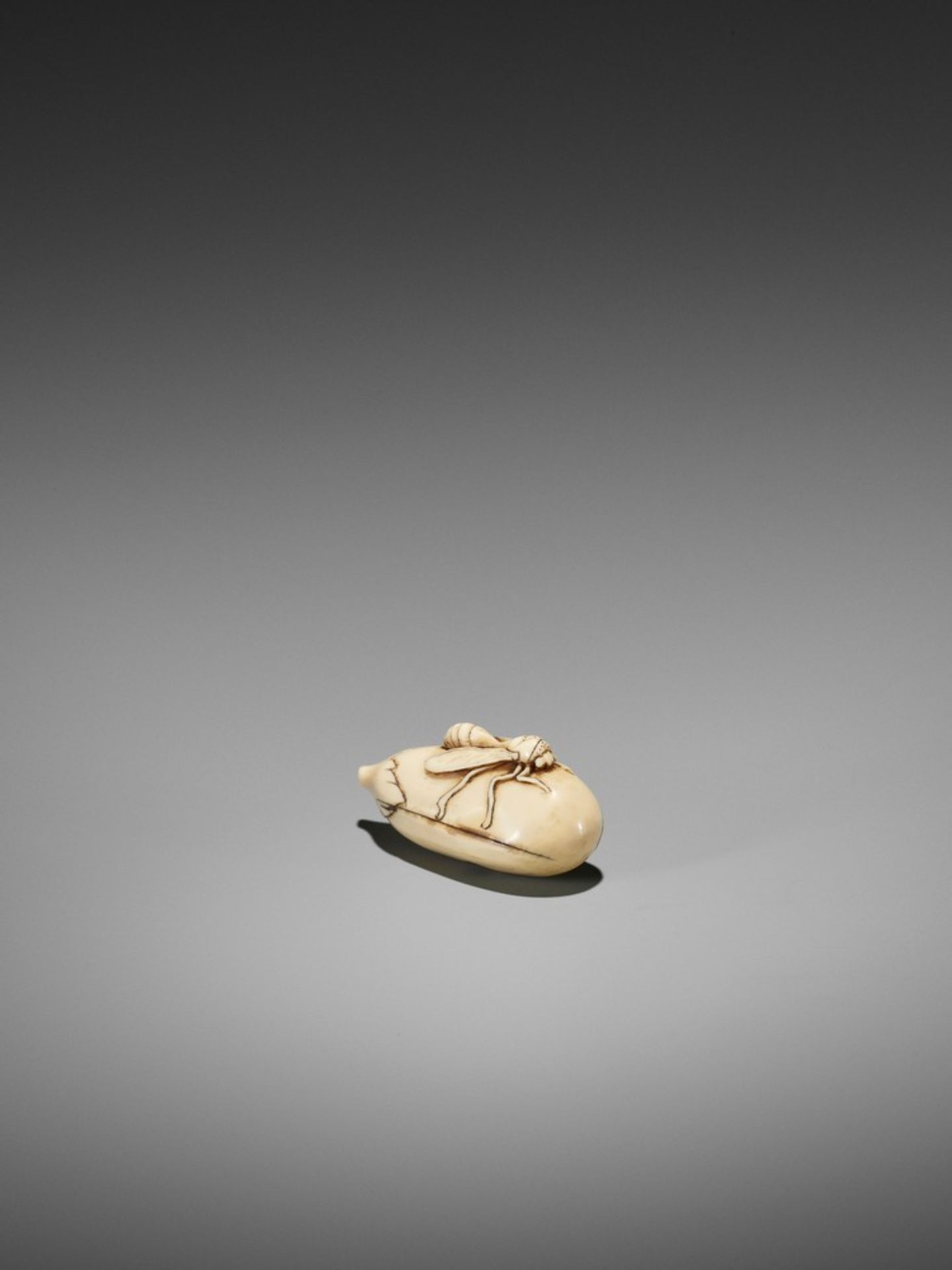 A RARE IVORY NETSUKE OF A WASP ON NASUBI UnsignedJapan, late 18th to early 19th century, Edo - Bild 4 aus 10