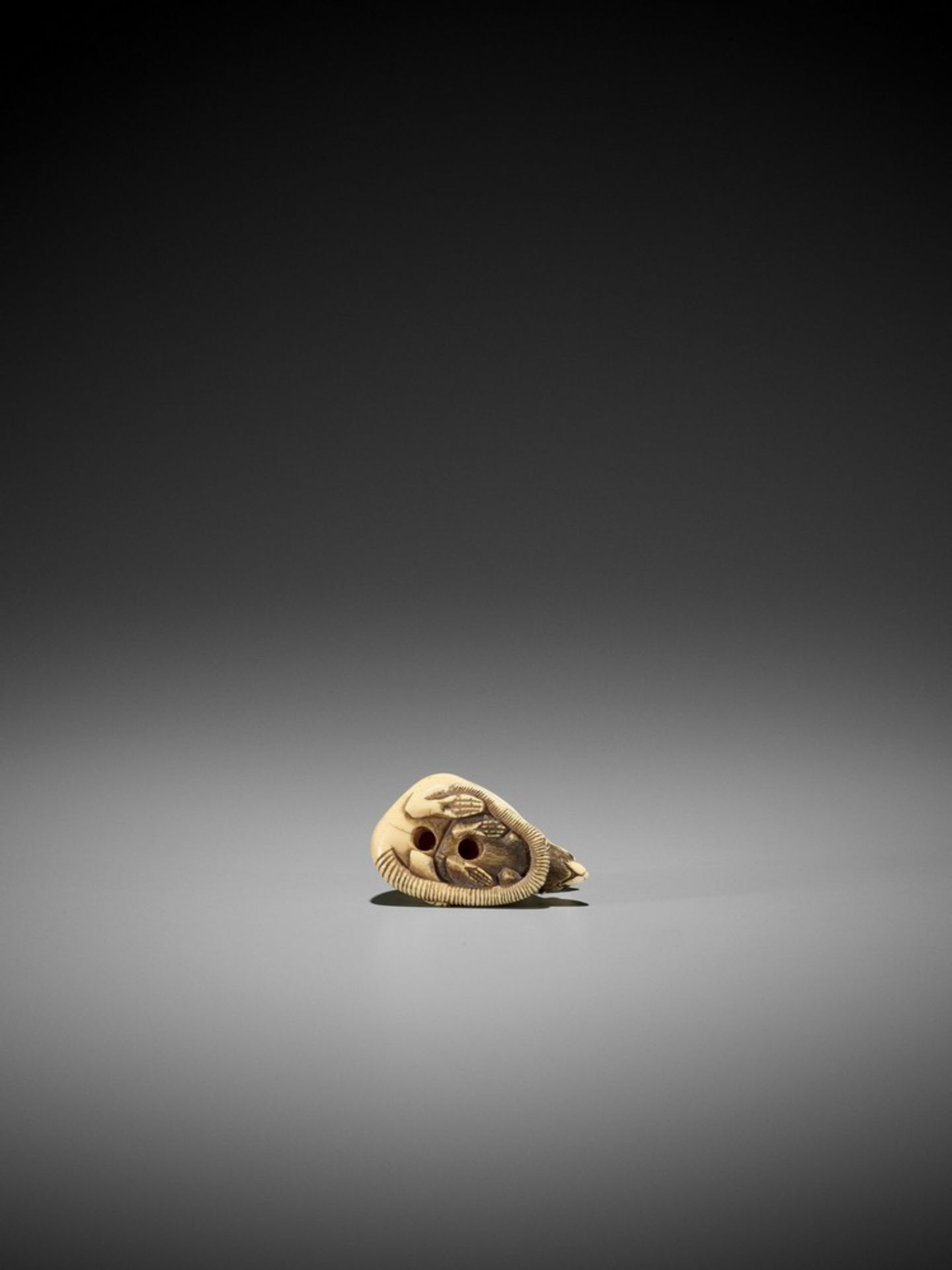 AN IVORY KYOTO SCHOOL NETSUKE OF TWO RATS UnsignedJapan, Kyoto, early 19th century, Edo period ( - Bild 9 aus 9