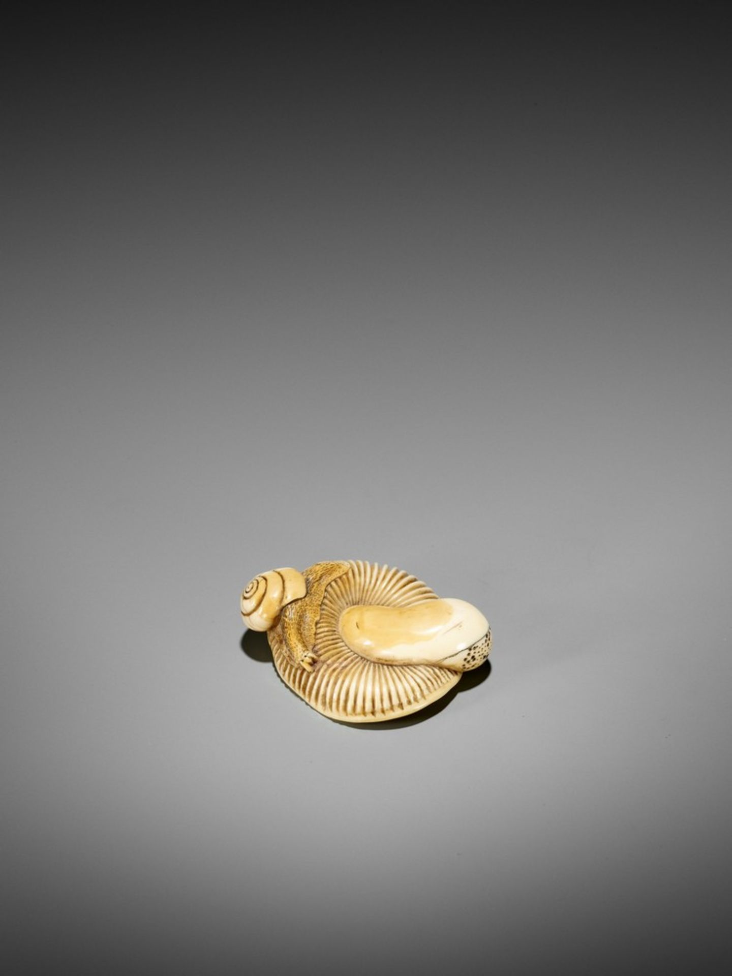 A FINE IVORY NETSUKE OF A SNAIL ON LARGE MUSHROOM UnsignedJapan, early 19th century, Edo period ( - Bild 9 aus 12