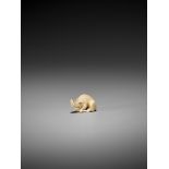 RANICHI: AN EXQUISITE IVORY NETSUKE OF A RECUMBENT BOAR By Ranichi, signed Ranichi 蘭一Japan, Kyoto,