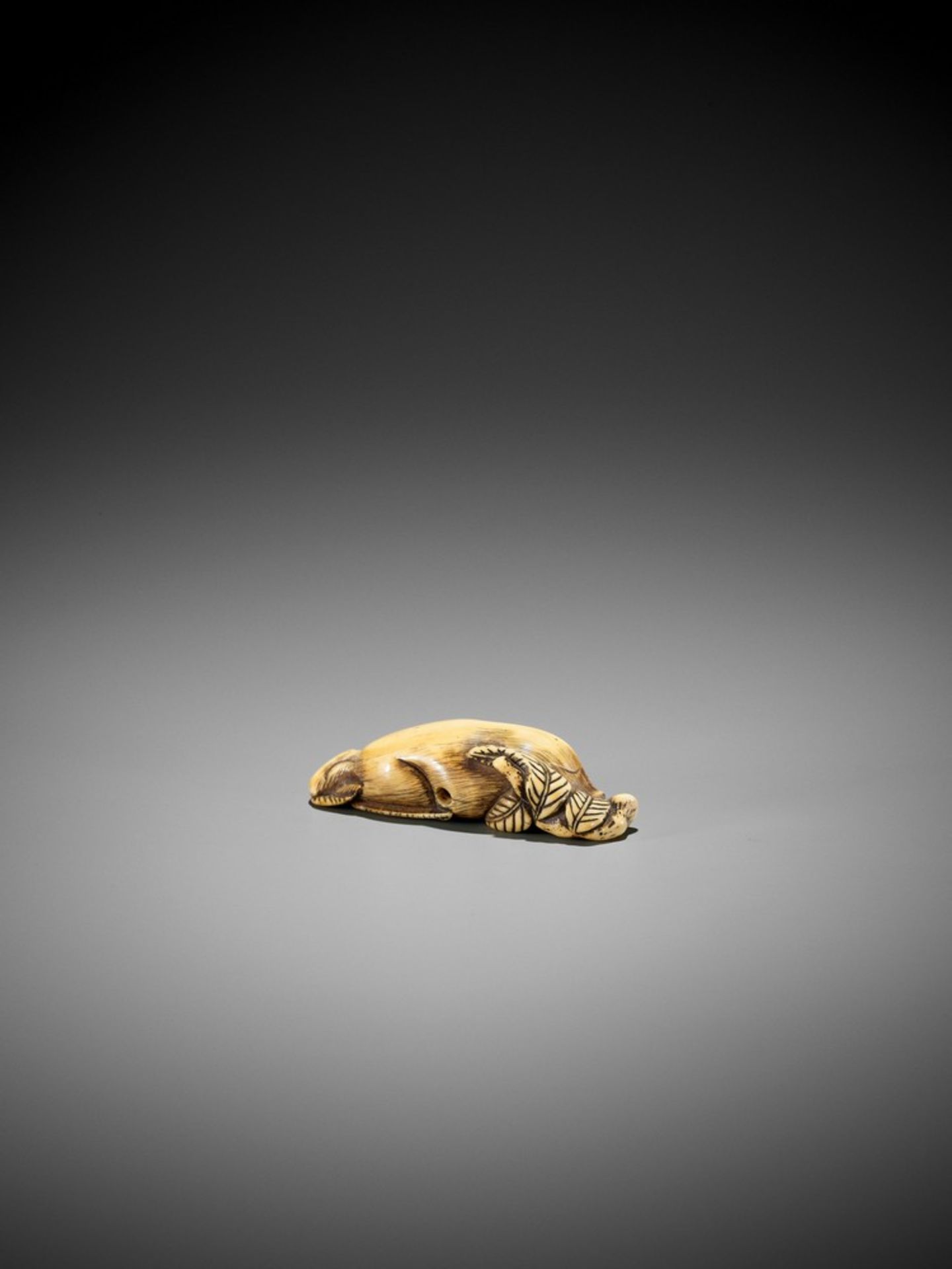 A FINE KYOTO SCHOOL IVORY NETSUKE OF TWO RESTING BOARS UnsignedJapan, Kyoto, 18th century, Edo - Bild 6 aus 8