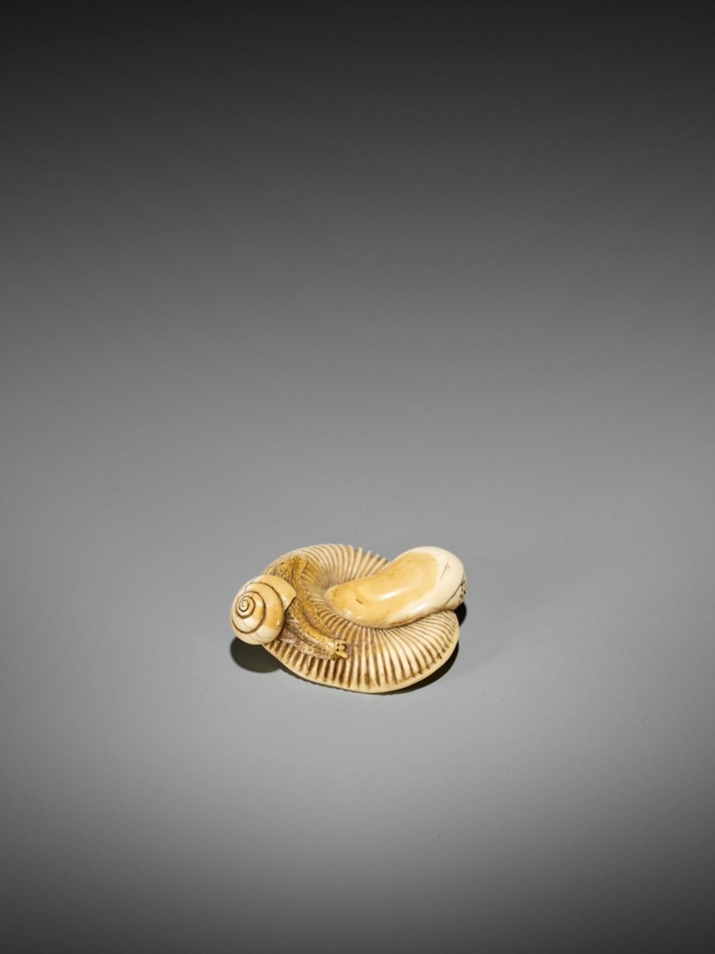 A FINE IVORY NETSUKE OF A SNAIL ON LARGE MUSHROOM UnsignedJapan, early 19th century, Edo period ( - Bild 8 aus 12